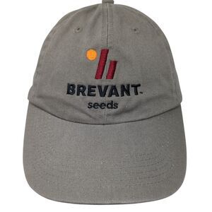 Brevant Seeds Slideback Hat Brown OS Adjustable Embroidered Quake City Caps